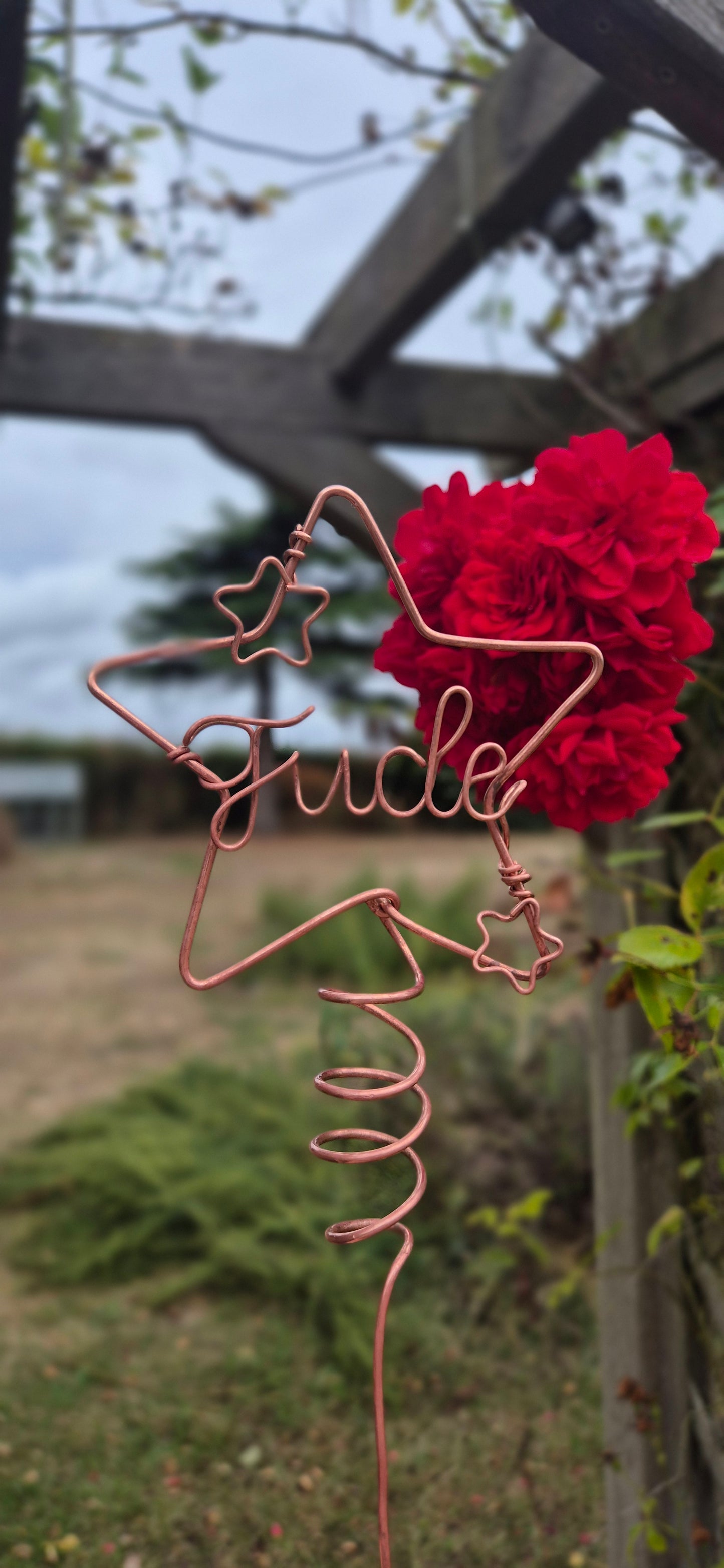 Copper star personalised plant stake