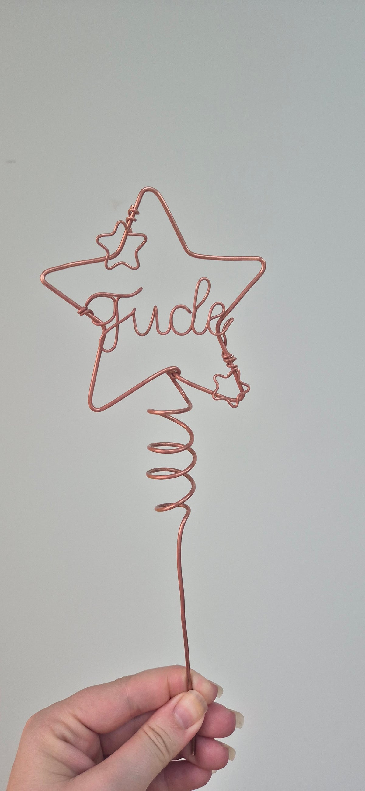 Copper star personalised plant stake