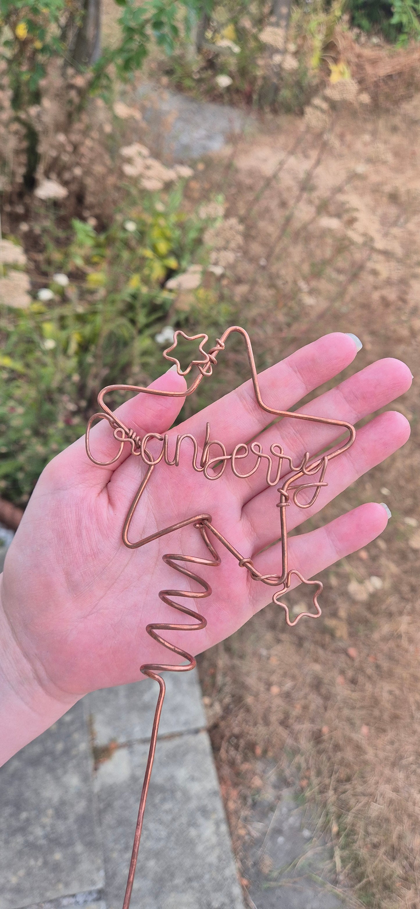 Copper star personalised plant stake