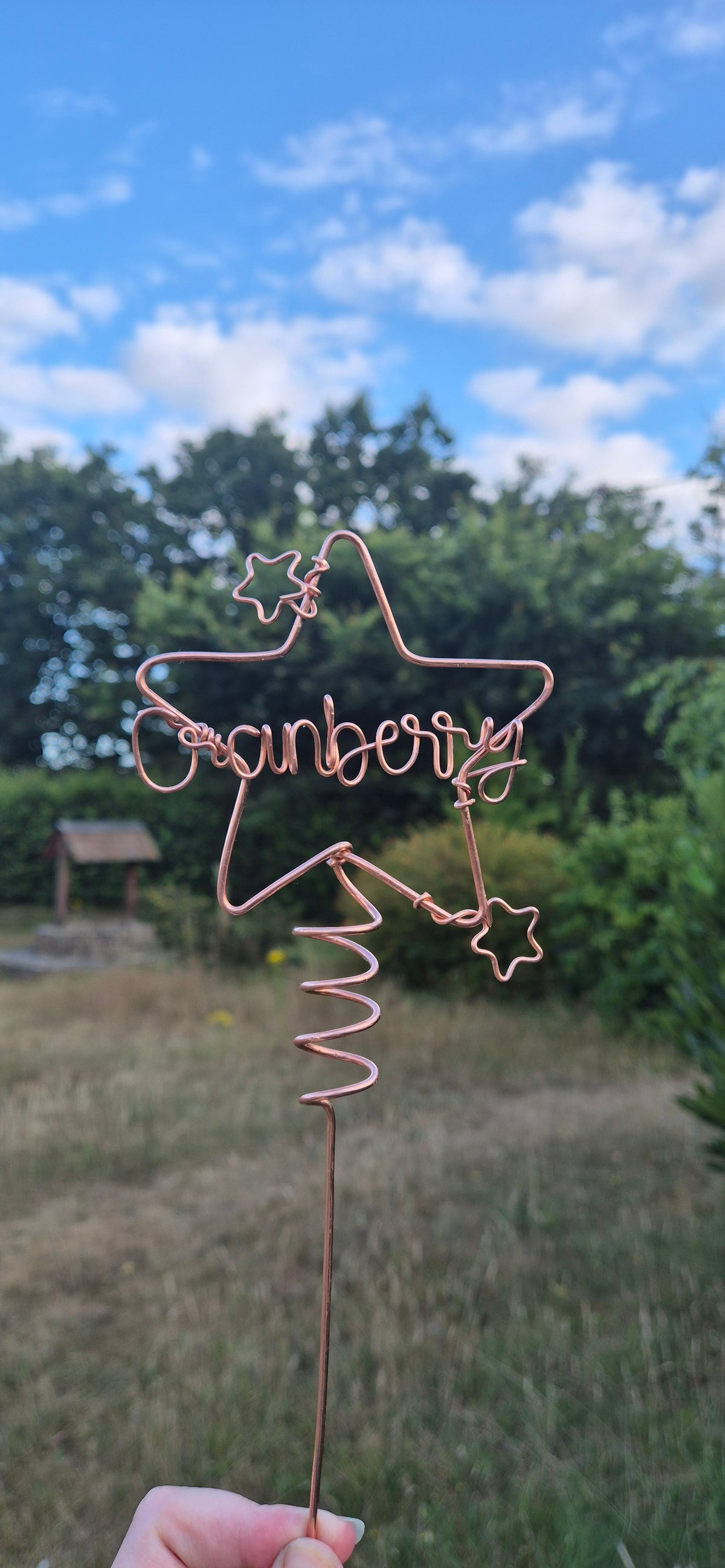 Copper star personalised plant stake