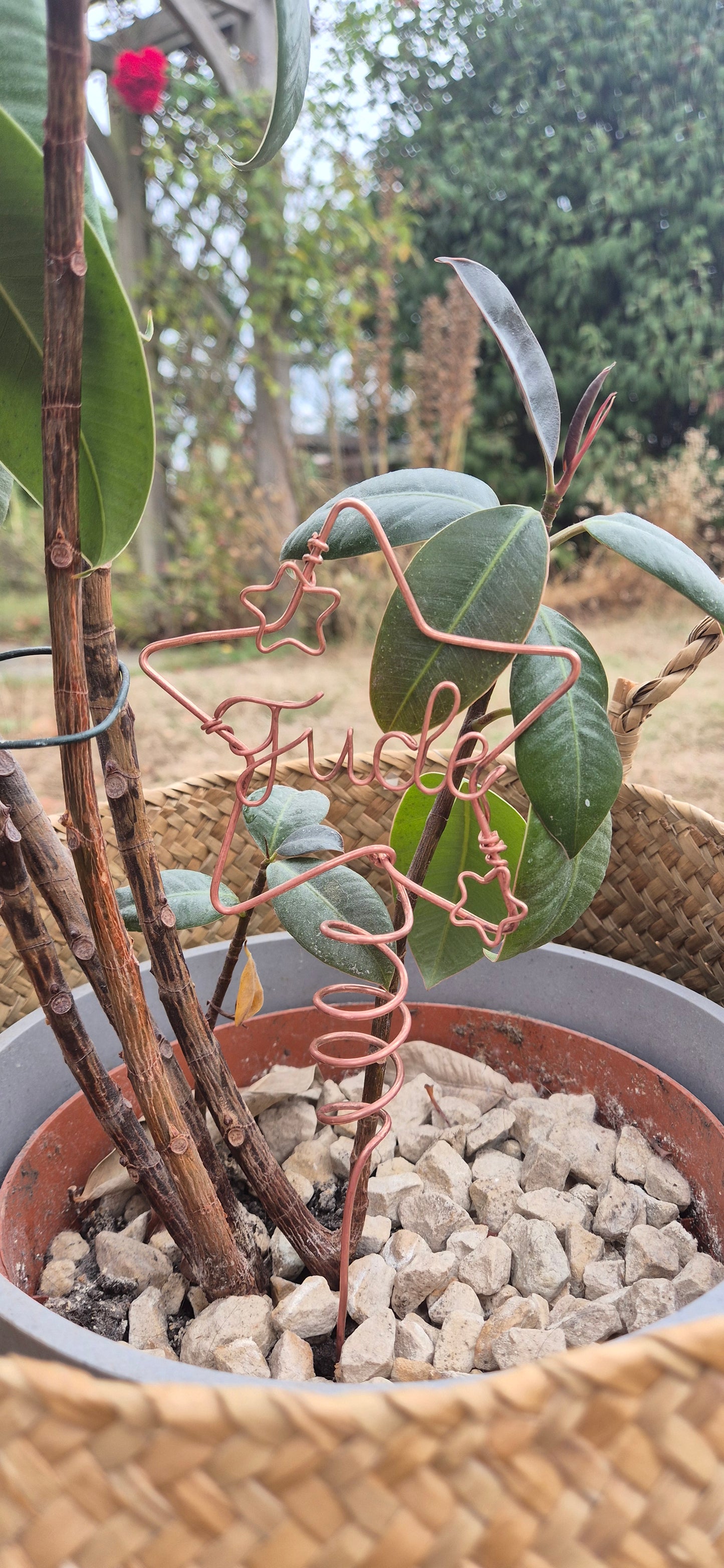Copper star personalised plant stake